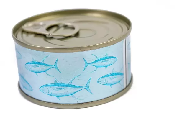 Closed Canned Fish isolated above white background (Flip 2019)