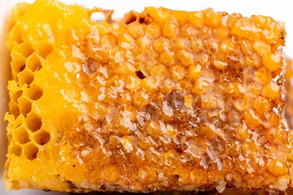 Closed (sealed) honey honeycomb