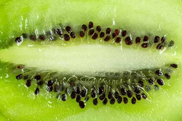 Closeup cut green kiwi background (Flip 2020)