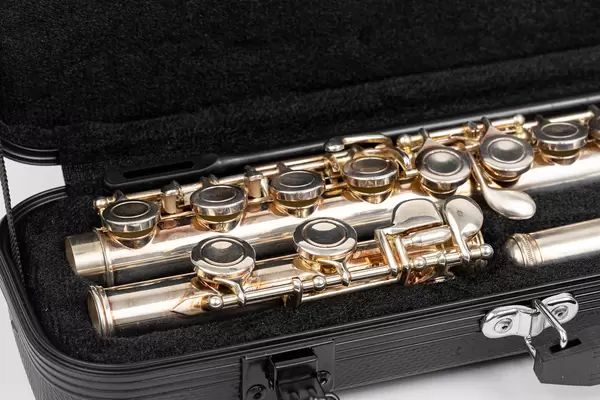 Closeup image of Metal Flute packed in the bag
