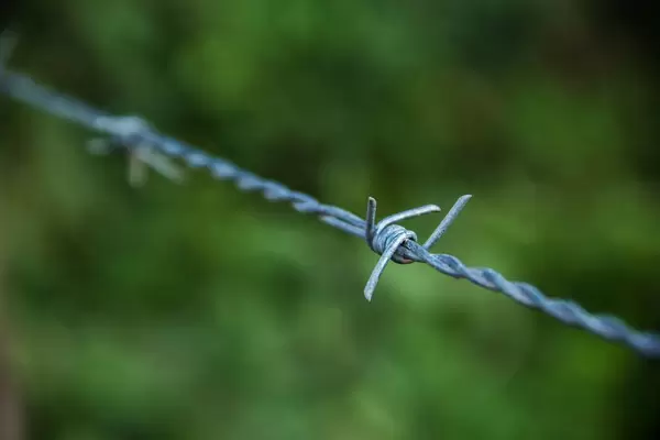 Closeup of a Barbwire