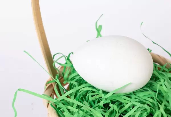 Closeup of a white chicken egg in a basket