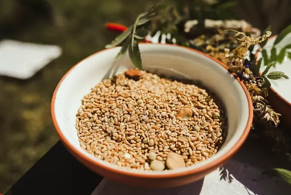 Closeup Of Barley Groats In A Ceramic Bowl (Flip 2019)