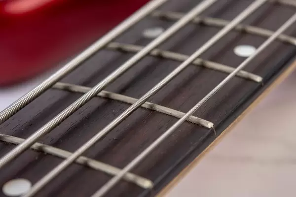 Closeup of Bass Guitar Neck with Strings (Flip 2019)