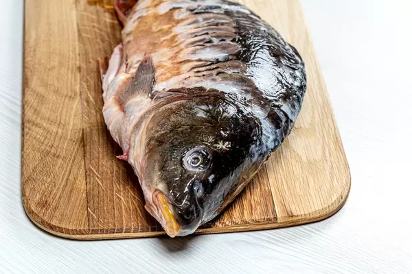 Closeup of fresh raw carp on kitchen Board