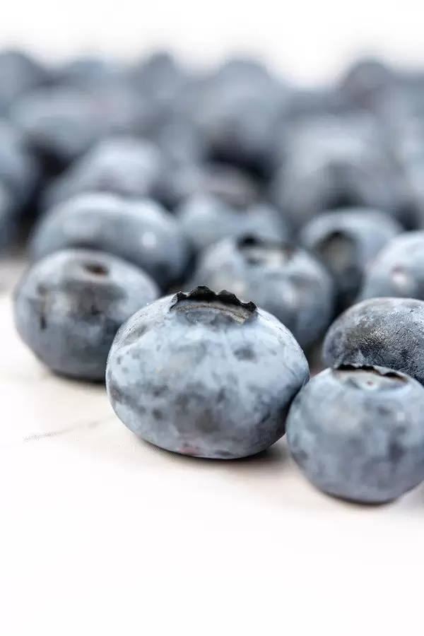 Closeup of Fresh Whole Blueberries (Flip 2019)
