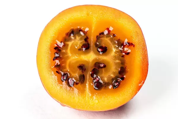 Closeup of half ripe Tamarillo (Flip 2020)