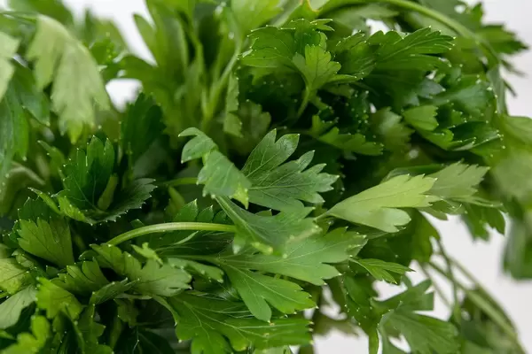 Closeup of Parsley leafs (Flip 2019)