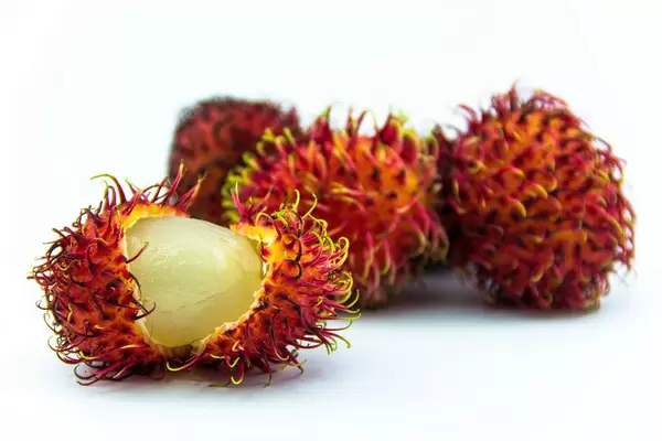 Closeup of Rambutans.jpg
