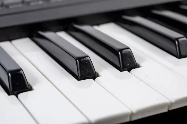 Closeup of Synth Keyboards with black and white keys (Flip 2019)