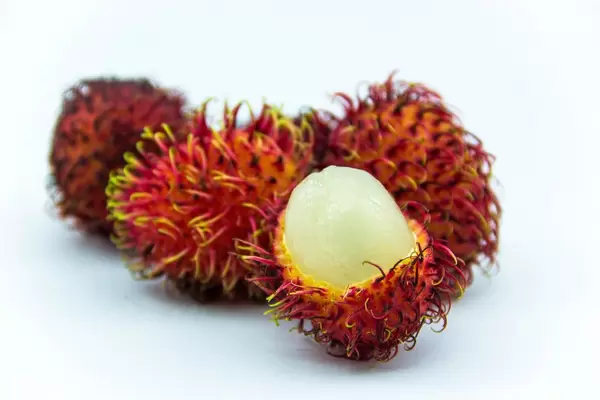 Closeup of Tropical Fruits