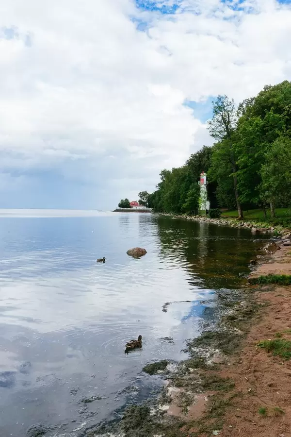 Coastline and Lighthouse of Petergof / Küstenlinie und Leuchtturm von Peterhof