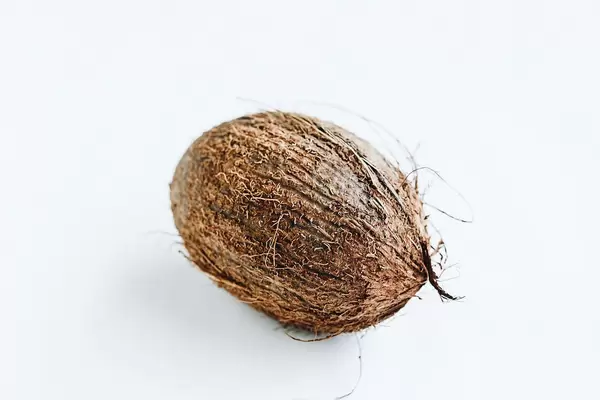 Coconut on white background