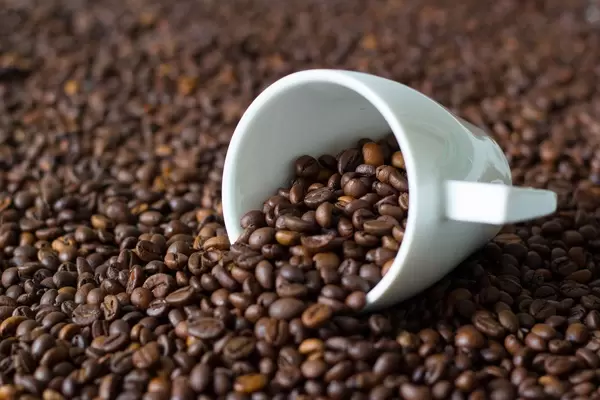 Coffe cup on coffee beans