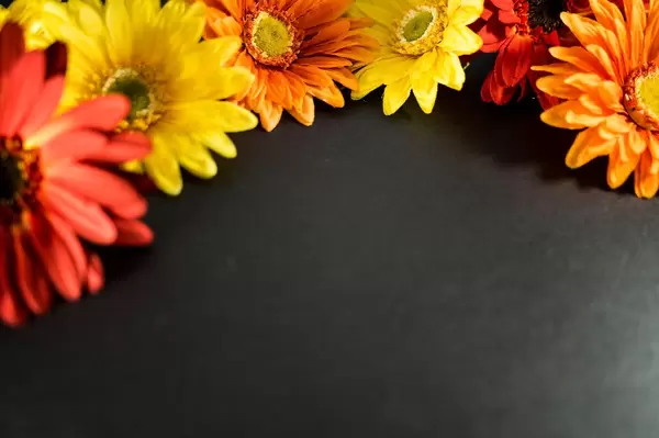 Colorful flowers froming a frame on a black surface