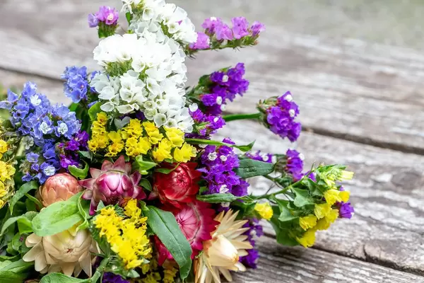 Colorful flowers of immortelle on an old wooden background (Flip 2019)