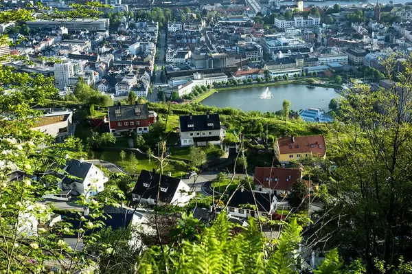 Colorful houses in Bergen, Norway