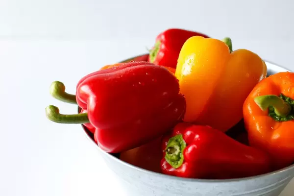 colorful peppers in a bow