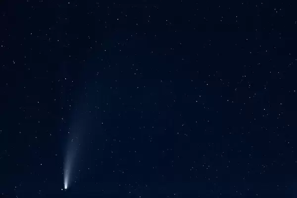Comet Neowise in the night sky