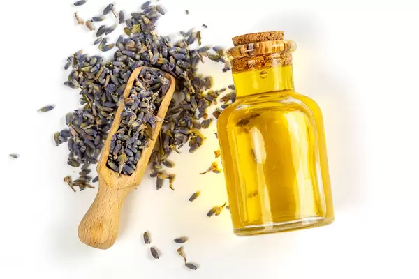 Concept of natural organic oil in cosmetology. Lavender flowers and oil in bottle