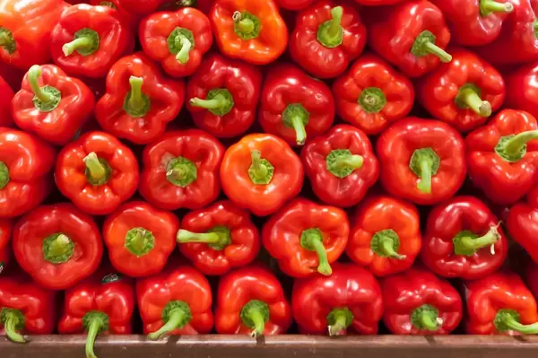 Concept of seasonal vegetables with red sweet pepper