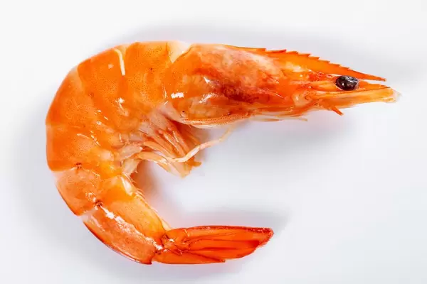 Cooked shrimp close-up  Flip 2019