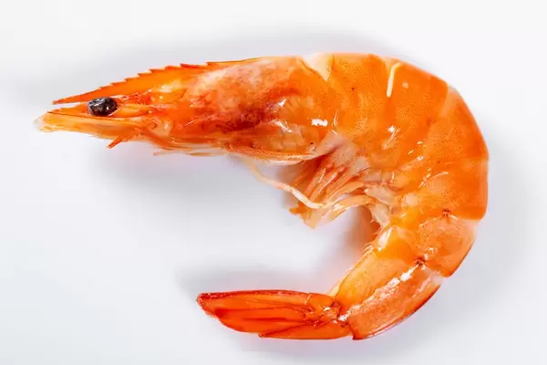 Cooked shrimp close-up