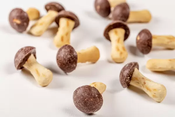 Cookies mushrooms with dark chocolate on a white background (Flip 2020)