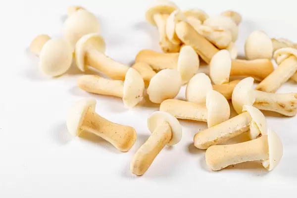 Cookies mushrooms with white chocolate (Flip 2020)