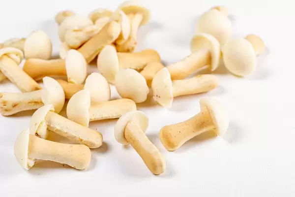 Cookies mushrooms with white chocolate