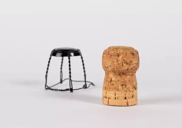 Cork from champagne bottle  Flip 2019
