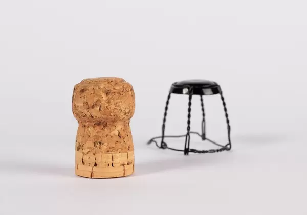 Cork from champagne bottle
