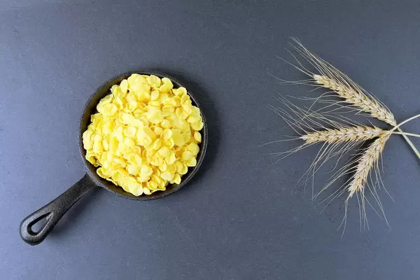 Corn flakes and wheat ear at breakfast, dark background