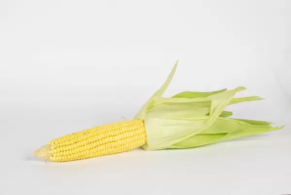 Corn on white background