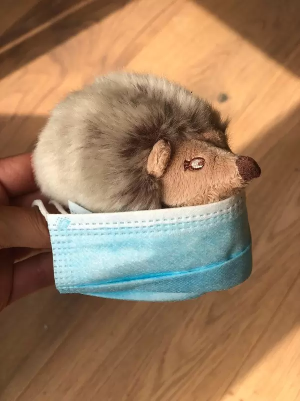 Corona-Regeln: Igelkuscheltier mit Mundschutz. Die Maske nur über den Mund zu tragen bringt nichts