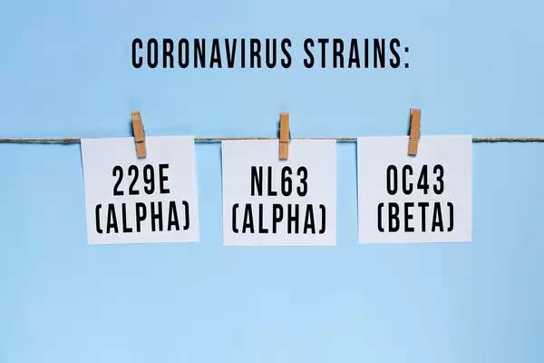 Coronavirus strains - 229E Alpha, NL63 Alpa, OC43 Beta