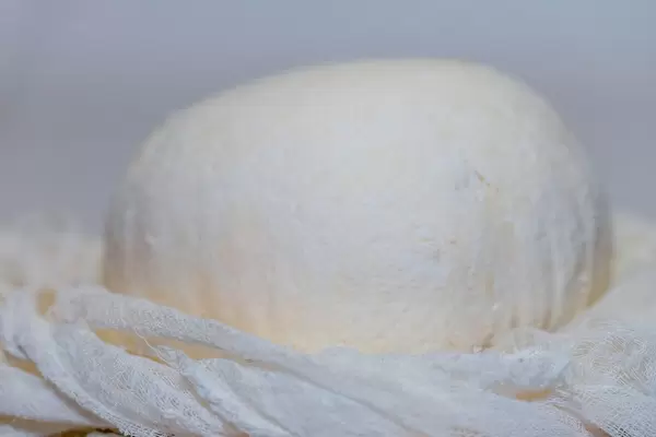 cottage cheese background  Flip 2019