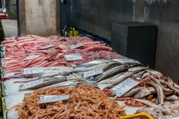 Counter full with various type of fish