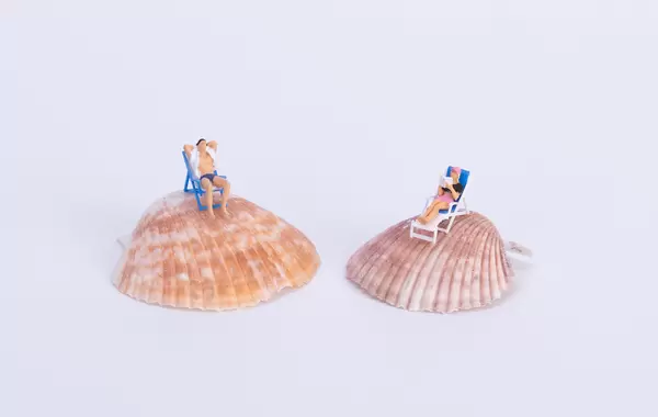 Couple sitting in deck chairs on sea shell