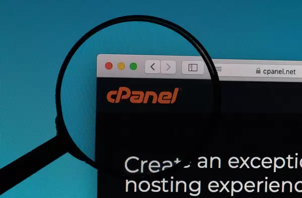cPanel logo under magnifying glass