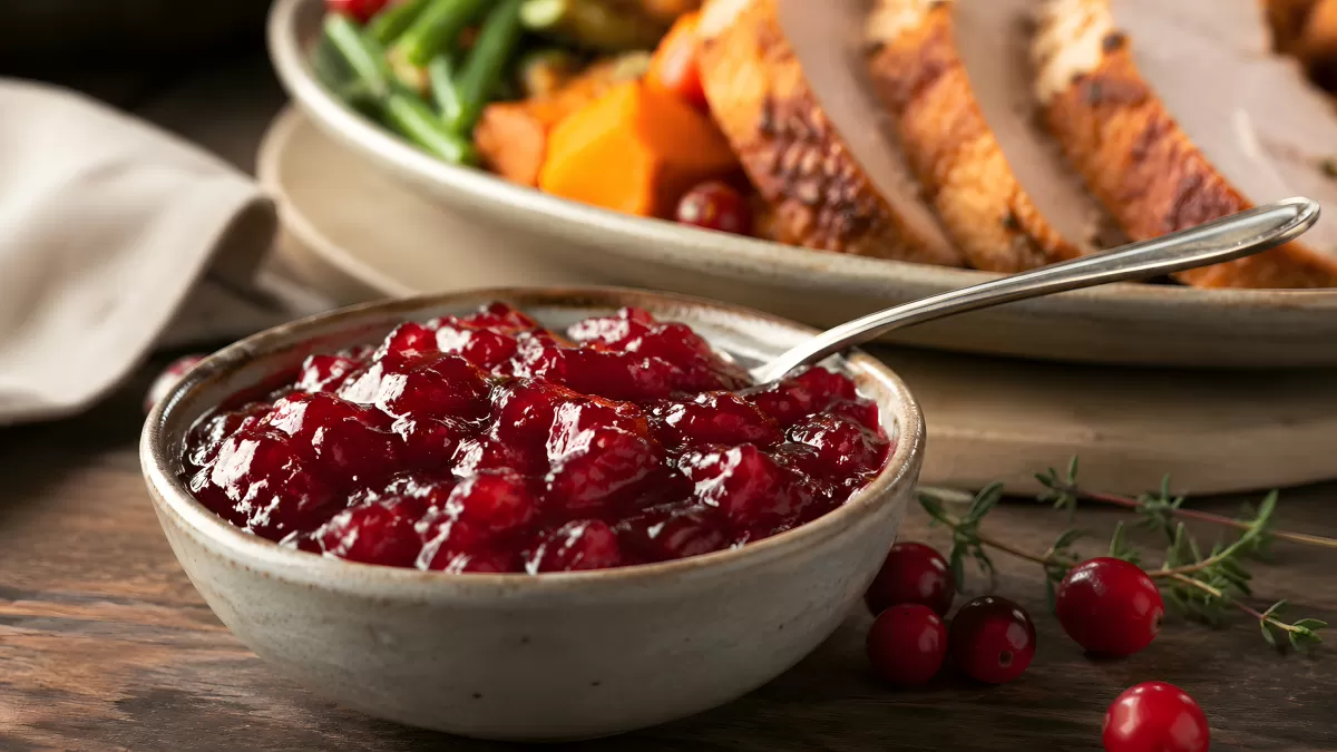 Cranberry-Sauce in Schüssel mit gebratenem Fleisch