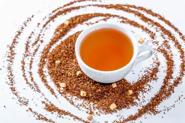 Cup of hot tea with dry tea