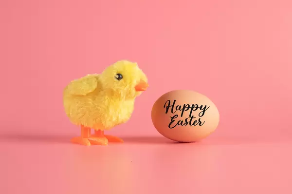 Cute little chicken and egg with Happy Easter text