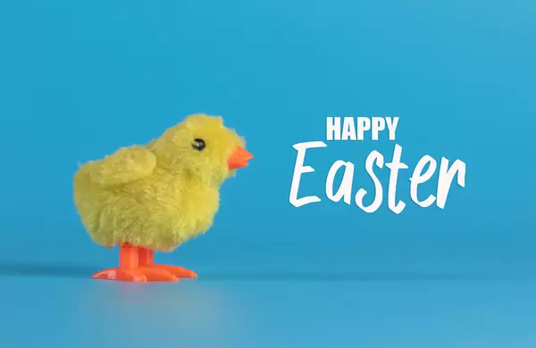 Cute little chicken with Happy Easter text on blue background