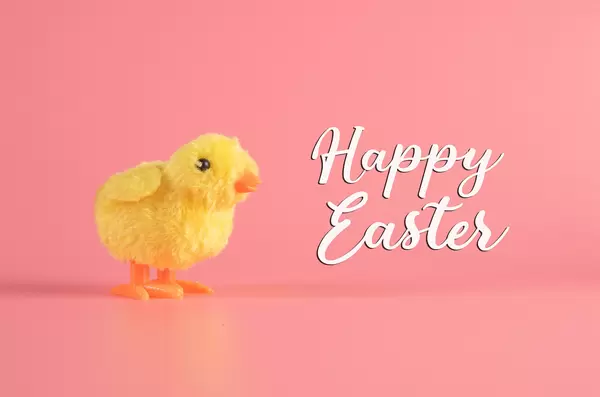 Cute little chicken with Happy Easter text