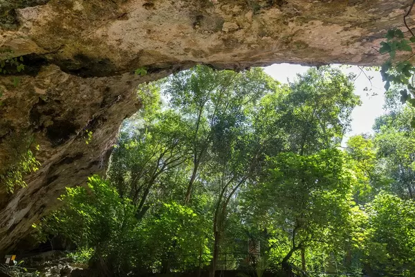 Dach einer Höhle mit Bäumen im Hintergrund. Die runde Höhle, Cuevas del Hams auf Mallorca