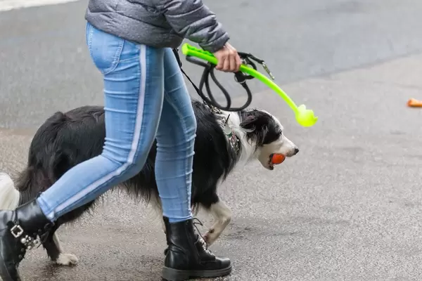 Dame mit Hund an der Leine und der Hund hat ein Ball im Maul