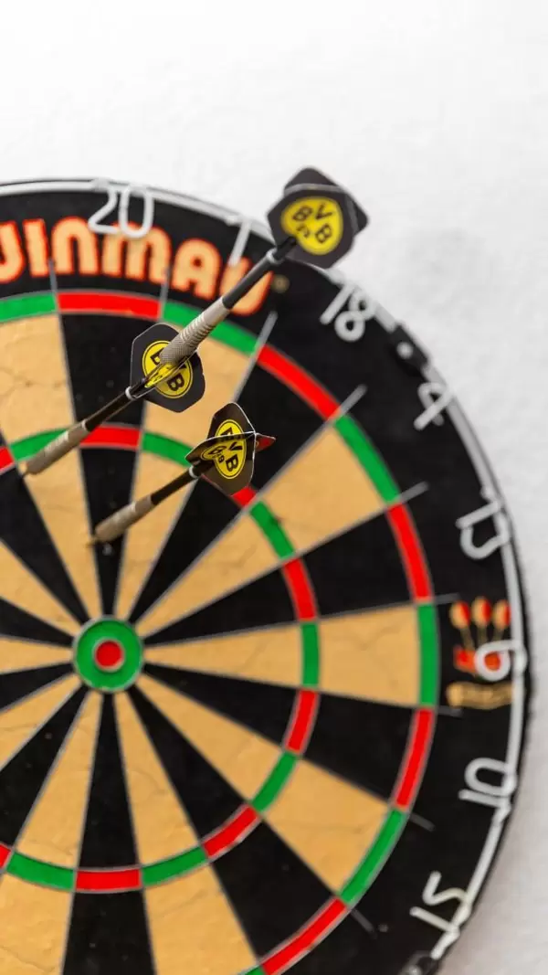 Dartscheibe von Winmau mit BVB Dartpfeilen