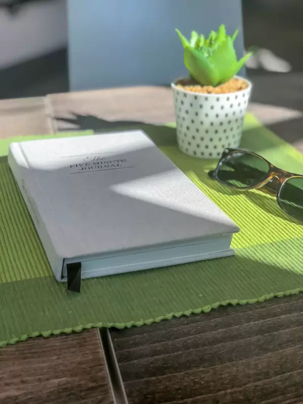 Das Buch The Five Minute Journal, Sonnenbrille und eine künstliche Pflanze auf dem Tisch
