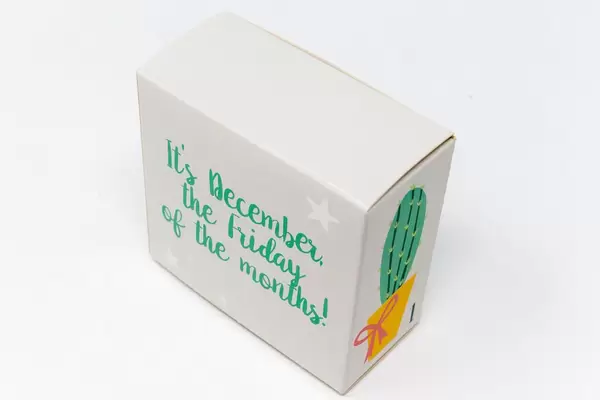 Das erste Türchen des veganem Foodist Active Adventskalender